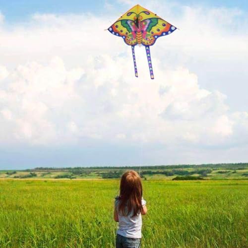Pipa Borboleta 3D em Poliéster Colorida com Linha de Nylon
