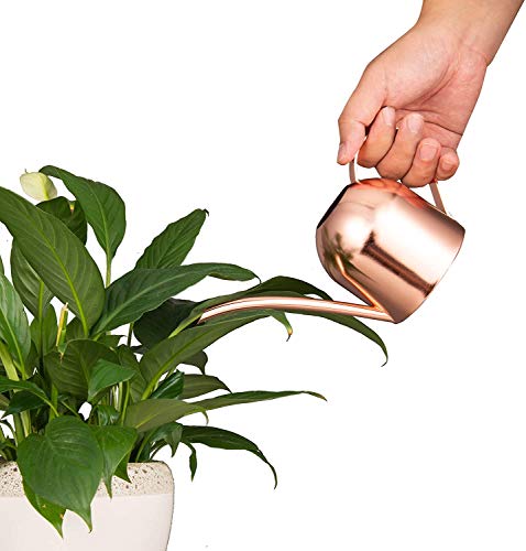 Imeea Rose Gold Watering Can Small Watering Can For Indoor Plants Stainless Steel Indoor Watering Can With Long Spout, 15Oz/450Ml #TOP2