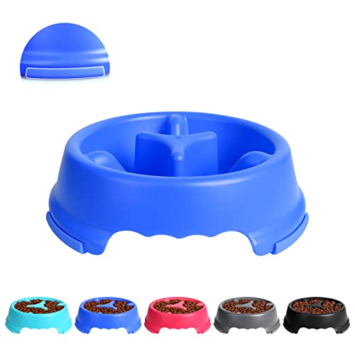 Wesen Slow Feeder Dog Bowl 2.5 Cup,Puzzle Dogs Feeding Bowls,Anti-Gulping Slow Eating Dog Food Water Dish #TOP10