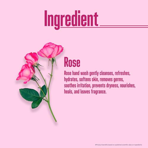 Image of Multani Natural Rose Hand Wash - 500 ml (Pack of 2) | Gentle Hand Cleanser With Natural Ingredients | Moisturizing Hand Wash | 99.9% Germ Protection Liquid Hand Wash