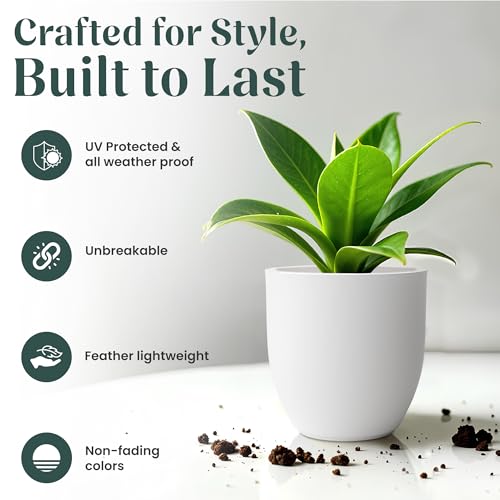 Image of YUCCABE ITALIA FOXB PCUP 12 INCH Pots for Plants Highly Durable Polymers Lightweight Indoor Outdoor Flower Pot Gamla Tree Planter Container Planters for Living Room, Balcony, Garden| White