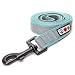 Pawtitas Puppy / Pet 6 - feet Reflective Padded Dog Leash Extra Small / Small 5/8 inch Teal