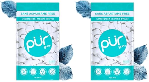 PUR Gum | Aspartame Free Chewing Gum | 100% Xylitol | Natural Wintergreen Flavored Gum, 55 Pieces (Pack of 2)