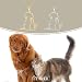 TEAMER Niedliche umarmende Katze Hund Halskette Hunde Anhänger Edelstahl Katzen und Hundeliebhaber Schmuck für Damen und Herren (Silber)