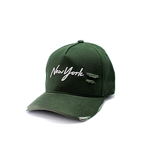 Boné Masculino Aba Curva Strapback Diversos Modelos E cores (Verde)