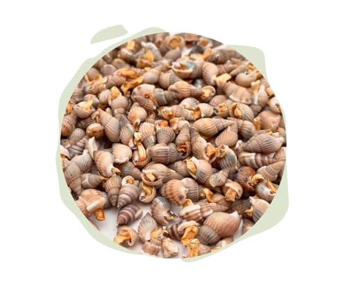 Warnick´s Tierfutterservice Naturhäppchen Schnecken, FD gefriergetrocknet - 100 gr Tüte - Naturfutter für Zierfische, Garnelen und Krebse