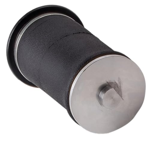 Coussin de suspension pneumatique arrière pour Range Rover 4.6L 1995-2002 OEM RKB101460