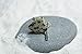 Custom Dalmatian Stone Tie Tack Handmade - Quantity of 1