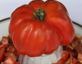 5 paquetes de 25 semillas de color marrón-Carne Orgánica de tomates Semillas