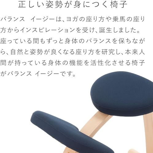 バランスラボ バランスイージー 通常フレーム 通常箱 ブラック 147BN008 バランスチェア ラクに姿勢がよくなる椅子 メイドインジャパン 高さ調整可 [3]