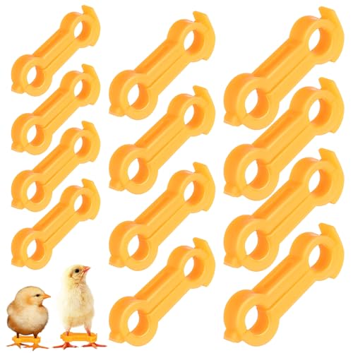 ifundom 12pcs Chick Leg Stabilizer Baby Birds Splay Leg Correction Band Newborn Chicken Ties for 1-3 Days Old Newborn Chicks Birds