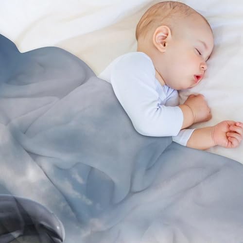 Couverture polaire dauphin : la solution contre le froid pour lit et canapé
