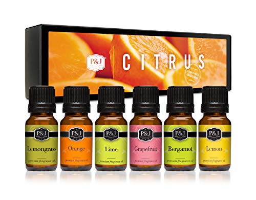 P&J Trading Fragrance Oil | Citrus Set of 6 - Scented Oil