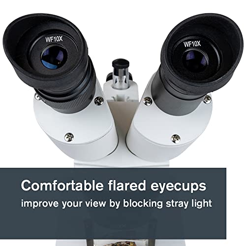 Image of Celestron - Stereo Microscope - Celestron Labs S1030N - Ergonomic Binocular Head - 10x and 30x Magnification