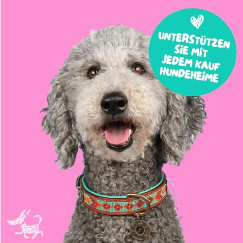 DWAM Dog with a Mission - Hundehalsband XL | Farbenfroh Türkis, Orange mit Perlen | Boho, Ethno, Ibiza, Hippie | Extra große Hunde | Handgemacht | Modisch und Bunt | Weichem Echtes Leder | 4 cm Breit