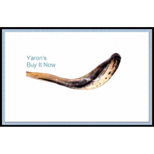 Compare prices for shofars for sale across all Amazon European stores