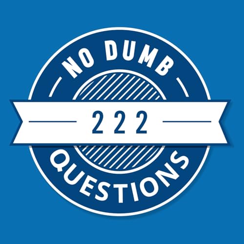 222 - How do Electric Motors Work?