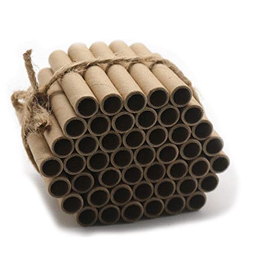 Super Idee Insect Hotel tubes Bee Tubes Canes Pack of 200 Mason Bees Refill Materials Nesting Box Nesting Brood Box Bee House in Garden Insects Bees Hotel Bee Tubes 6cm long