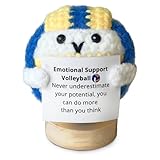 Positive Volleyball Häkel-Dekoration, Volleyball Geschenke, Positives Häkeln Wolle Blau-Gelb-Weiß, Volleyball Deko Mini Figur Mit Holzstand, Für Sportliebhaber Zuhause Büro Party Alle Altersgruppen