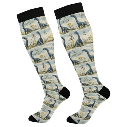 Medias de compresión para mujer, soporte para enfermeras, correr, atletismo, viajes, belleza, dinosaurio, diplodocus cielo