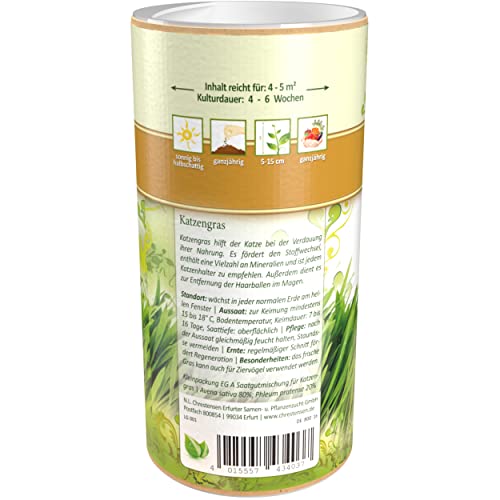 Premium Katzengras Samen Chrestensen, Grassamen schnellkeimend, 1 Dose 110 g, reicht für ca. 4-5 m² Katzengras fertig gewachsen, Natürliche Katzen Leckerlies zu Hause