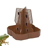 Food Bowl, Gecko Food Bowl - Kletterleiter mit Kletterleiter | Reptilienfütterung Schüssel für, Leopard mit gegenseitiger Einfügungsleiter