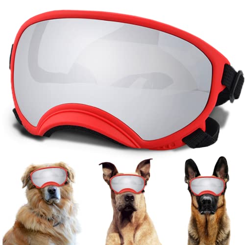 Dog Goggles