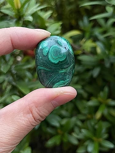 Image of GAF TREASURES 1 /2 LB Malachite Tumbled Stones, Polished Natural Malachite Gemstone, Malachite Healing Crystals (Malachite)