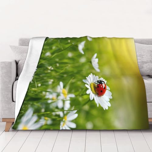 Couverture flanelle Ladybug plaid doux pour vos soirées sur le canapé - 2