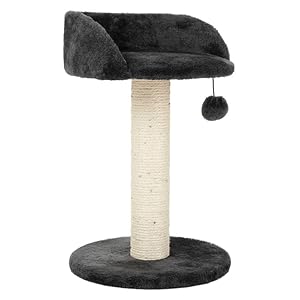 zooplus Kratzbaum Enio | platzsparender Kratzbaum mit rundem Liegeplatz | mit Plüsch-Spielzeug | Höhe: 47cm