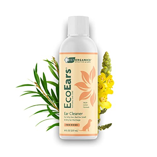 How to Treat a Dog Ear Infection (Using Home Remedies and OTC Aids)