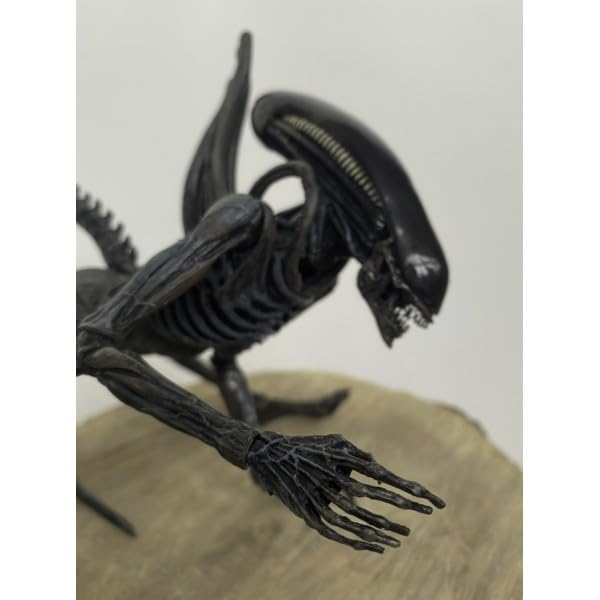 Figura de acción Coleccionable Xenomorpha de la película 'Alien' 18 cm con 20 Puntos de articulación