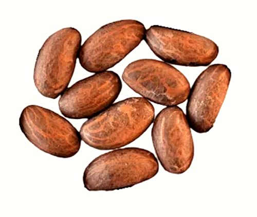 Pequeña cola fresca bolsa de 10