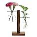 Desktop Plant Terrariums Glass Planter Bulb Vase Modern Propagation Station Hydroponic Vases with Retro Solid Wooden Stand for Hydroponics Plants Home Garden Wedding Decor (2 Bulb Vase)