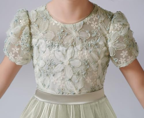 dideyttawl Flower Girls Dress 3D Embroidery Lace Appliqued Puff Tulle Satin Bow High-Waisted Maxi Dress 754T3