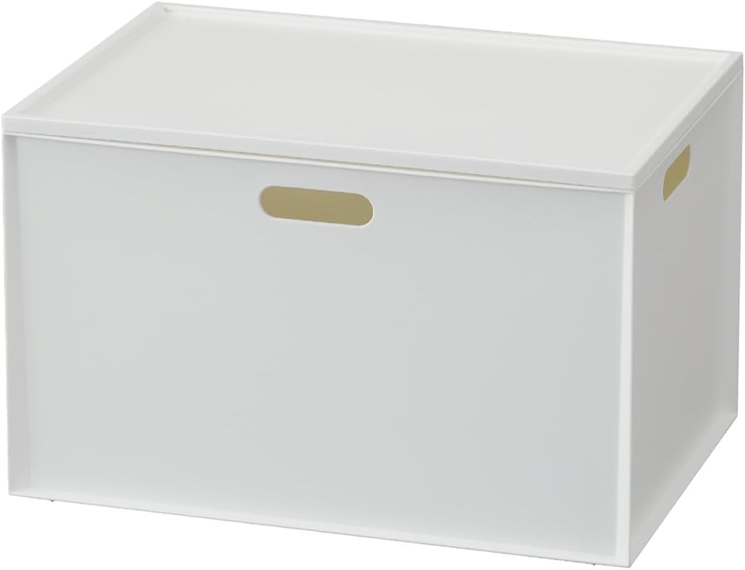 JEJ Astage Storage Box, Carocube Regulator Tray, White, Interior Goods, W 15.4 x D 10.6 x H 1.3 inches (39 x 27 x 3.25
