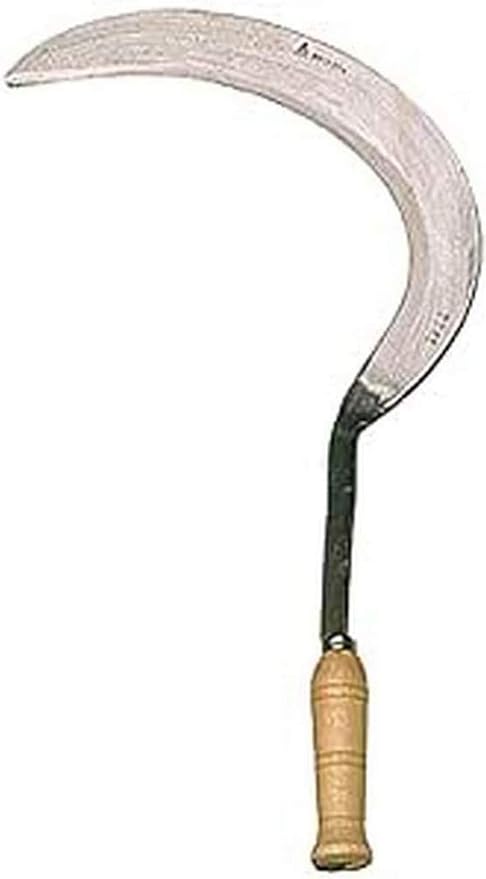 Os 5 melhores exemplos de quantos dias para chocar ovo de galinha 