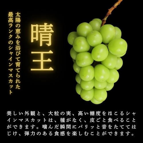 ノーブランド品 シャインマスカット晴王 の商品画像 3