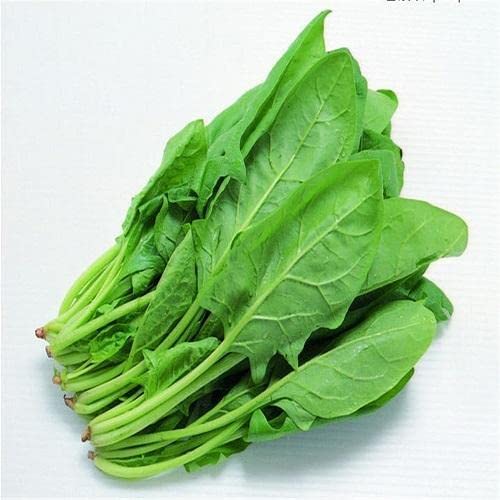 Mustard Saag Seeds Vegetable Hybrid Seeds for Home Garden for Planting (Pack of 2 Packets) By Zabbus (B0BJ95NKR1) Amazon Price History, Amazon Price Tracker