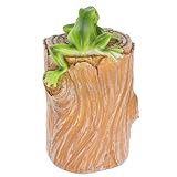 FOMIYES Frosch Schlüsselversteck aus Strapazierfähigem Material mit Schloss Kompakte Schlüsselbox für Garten Outdoor und Innenräume Praktisches Versteck für Schlüssel und Schmuck