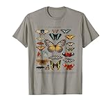 Set of beautiful Butterfly apparels