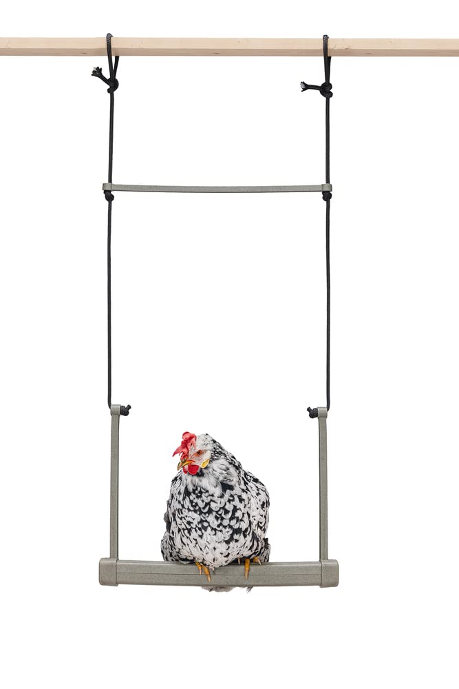 BZ Chicken Swing 40 x 5 x 30 cm Grey