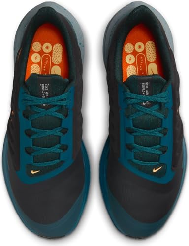 Image of Nike Air Winflo Shield, Low Men | Road Running Shoes