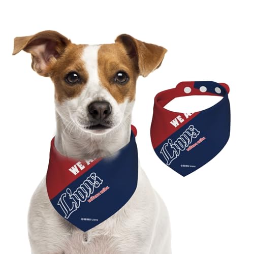 ybgo_i ʐCIY ybgpt^I p Lp OpXJ[t ̎ K lN^C ȒPE TCY\ @ U Hp 􂢉  킢 ybgpi ANZT[ a v[g