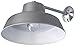 Canarm BL14CWS All Weather 1-Bulb Ceiling or Wall Mount All Weather Light with Clear Glass Globe, Grey