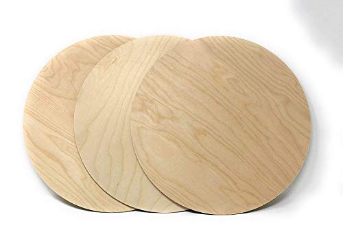 Gocutouts 12" Wooden Circle Cutouts Package of 10 Circle Blanks 1/8 Baltic Birch