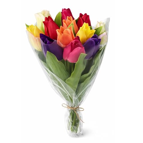 Corsage Creations | Mixed Colour Tulip Bunch | Artificial Tulips with 12 Vibrant Heads | Perfect for Bouquets Centerpieces Wreaths & DIY Floral Arrangements | Long-Lasting Realistic Design (38cm)