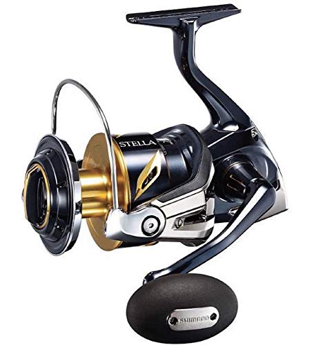 SHIMANO Inc. Stella SW 8000HG