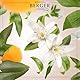 Maison Berger - Nachfüllpackung Bouquet Fleur d’Oranger - Für Raumduft Diffusor - Lang anhaltender, sanfter und kontinuierlicher Duft - 200ml