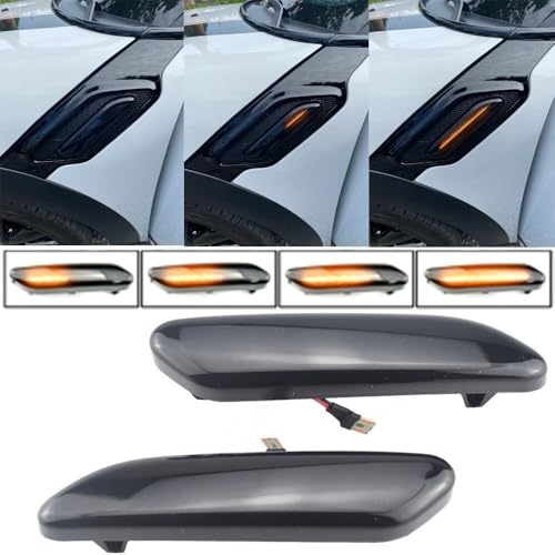 Intermitente lateral Mini Paceman R61 para solucionar luces fundidas u opacas 2